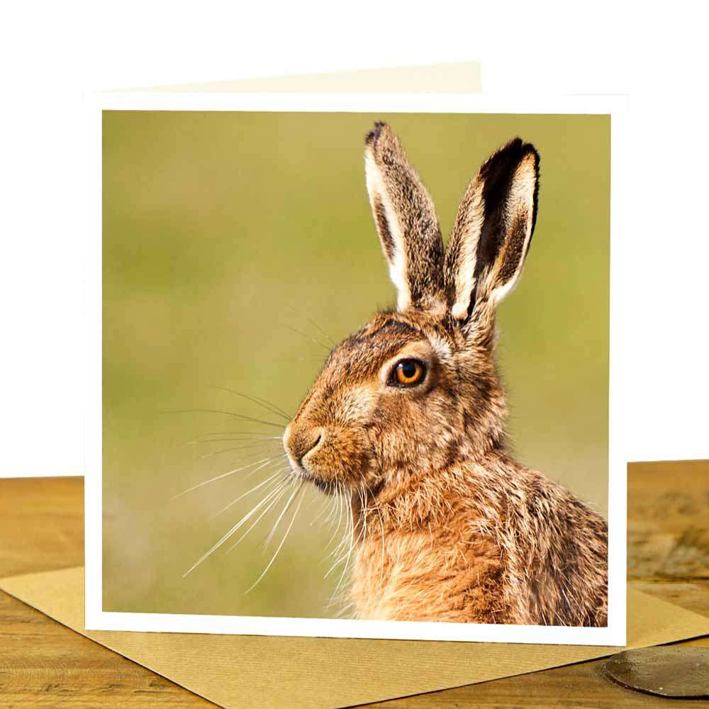 HARE GREETING CARD- BROWN HARE