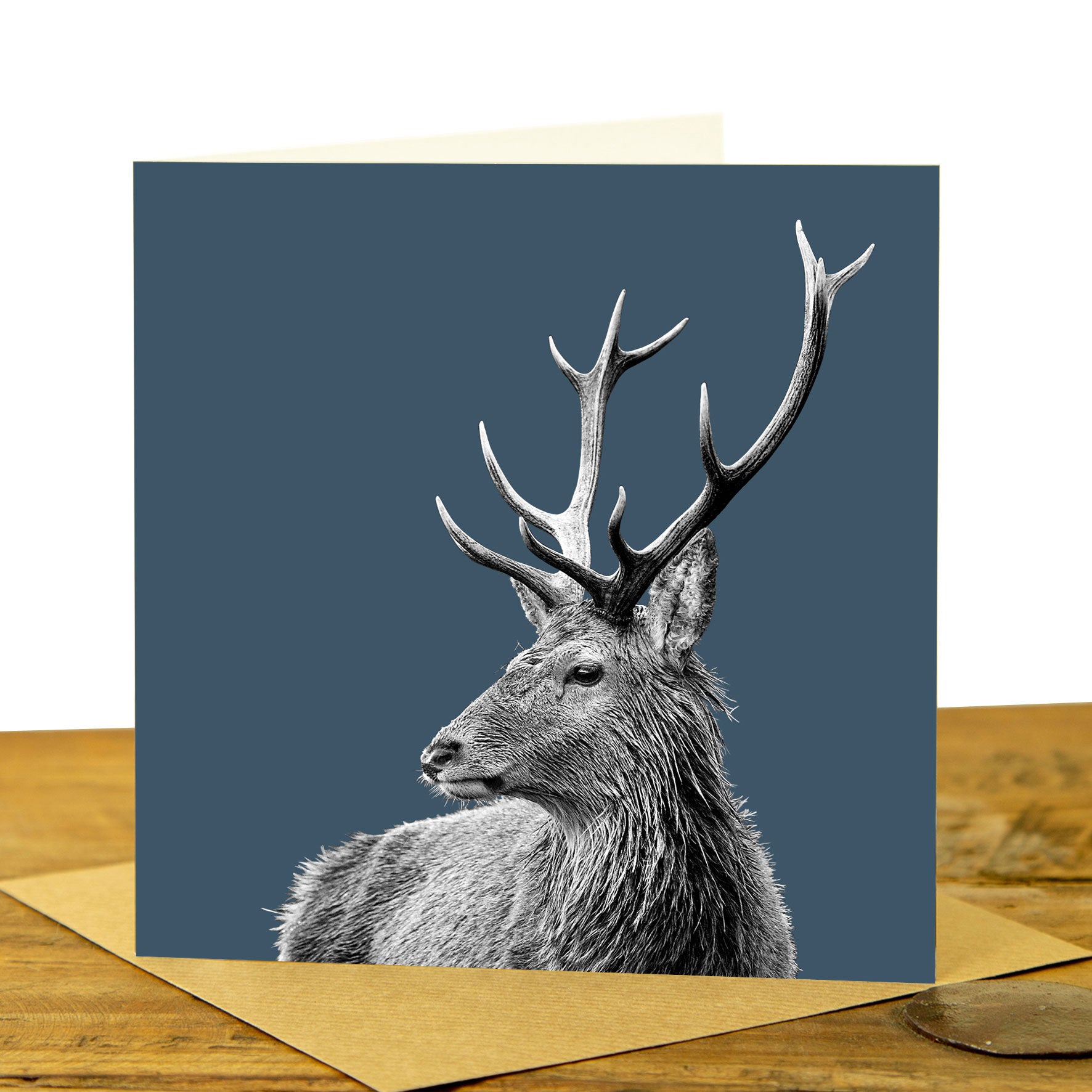 Highland Stag Greeting Card - Indigo