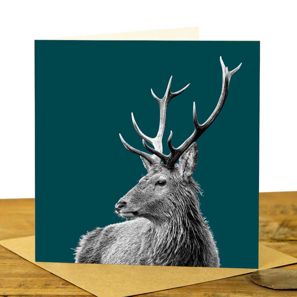 Highland Stag Greeting Card - Teal