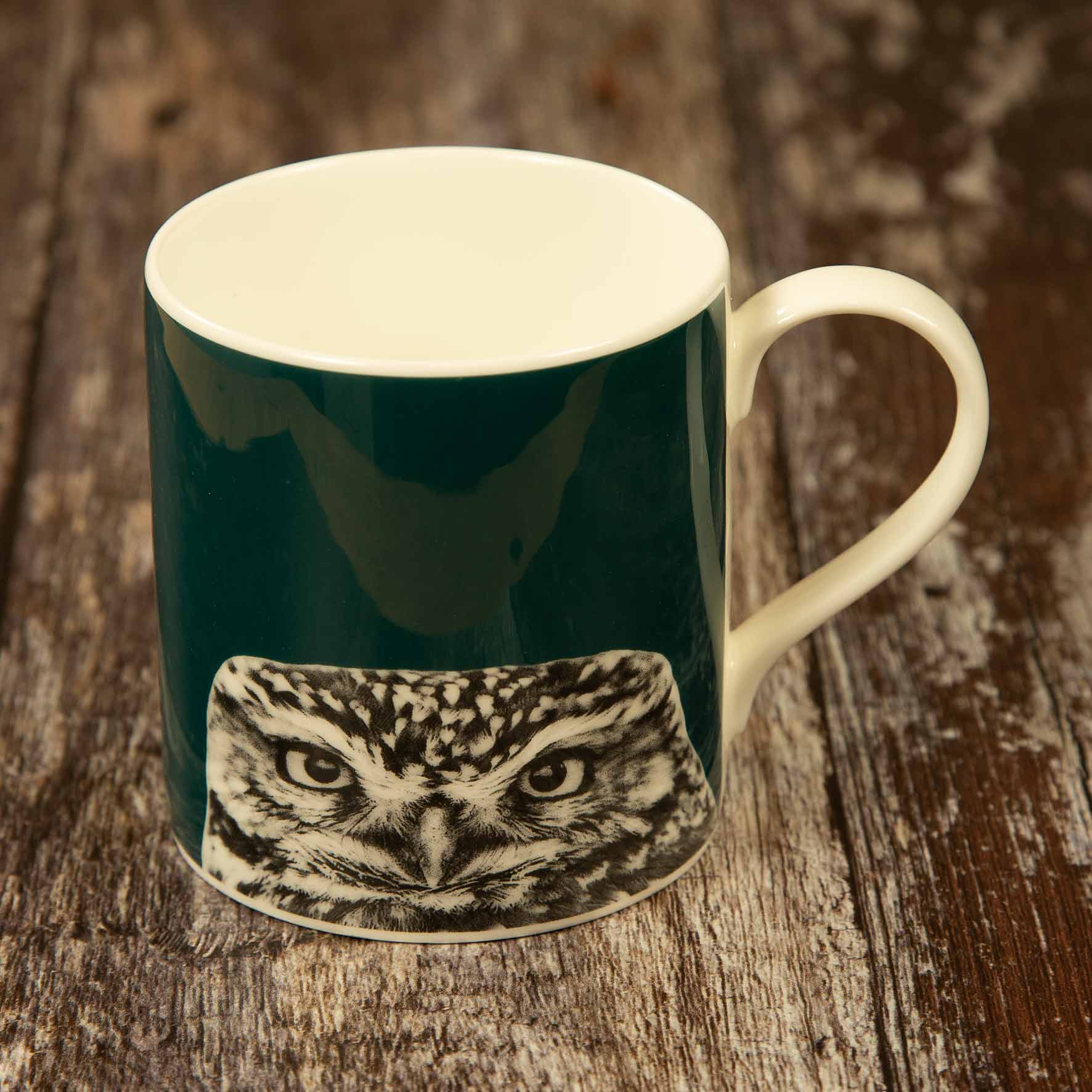 Little Owl Peeking Fine Bone China Mug - Teal
