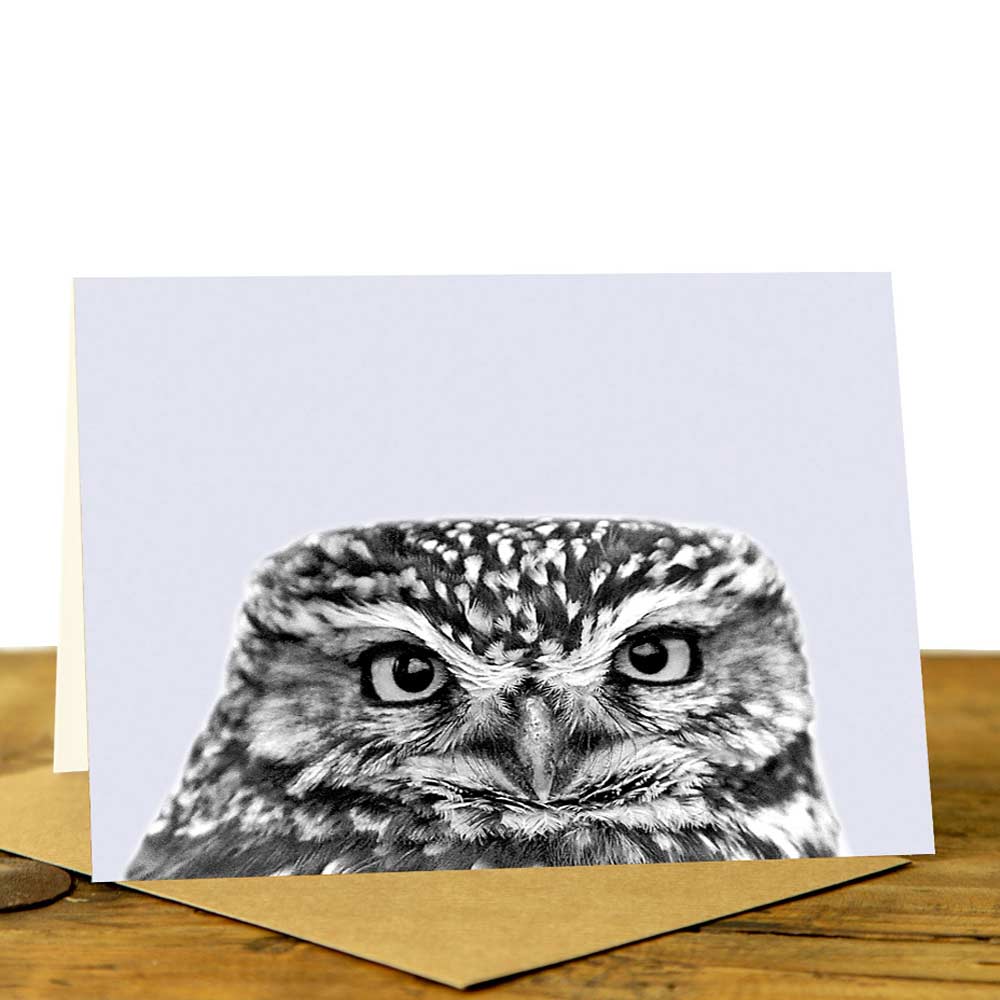 Little Owl Card - Little Owl Peeking - Pale Lavender