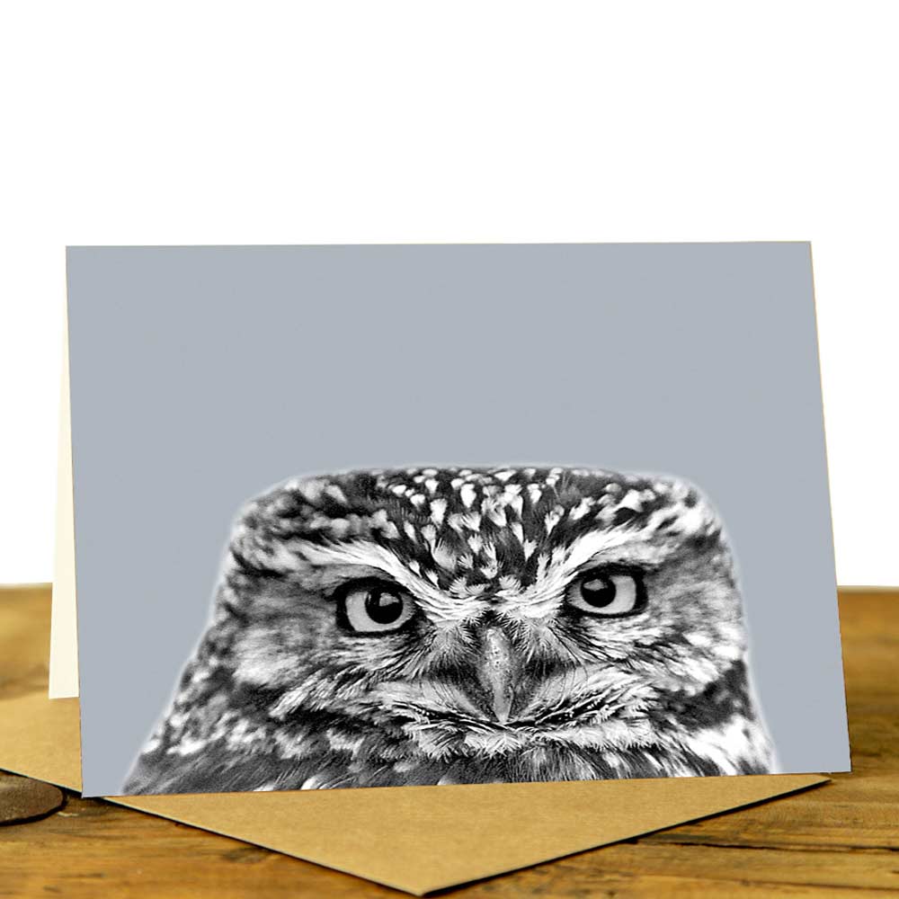 Little Owl Card - Little Owl Peeking - Pale Grey