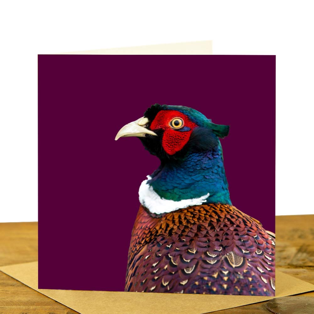 Pheasant Card - Colour Image - Claret Background