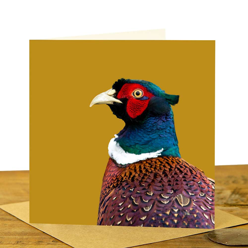 Pheasant Card - Colour Image - Mustard Background