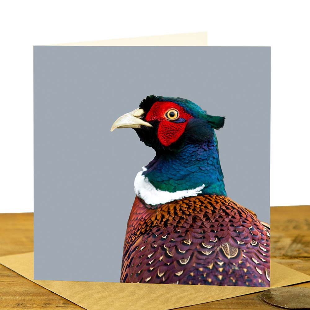 Pheasant Card - Colour Image - Pale Greyl Background