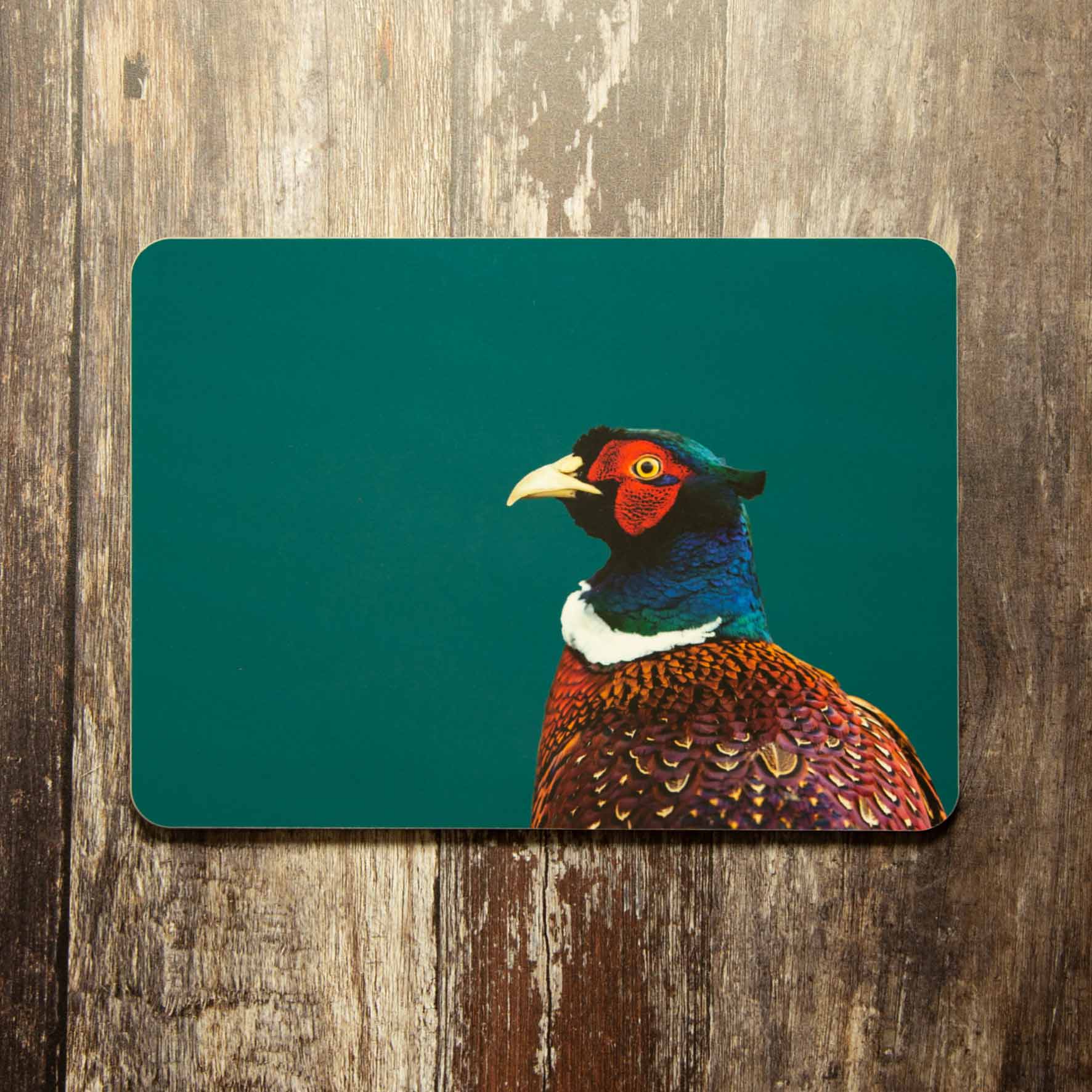 Pheasant Colour Placemat - Teal
