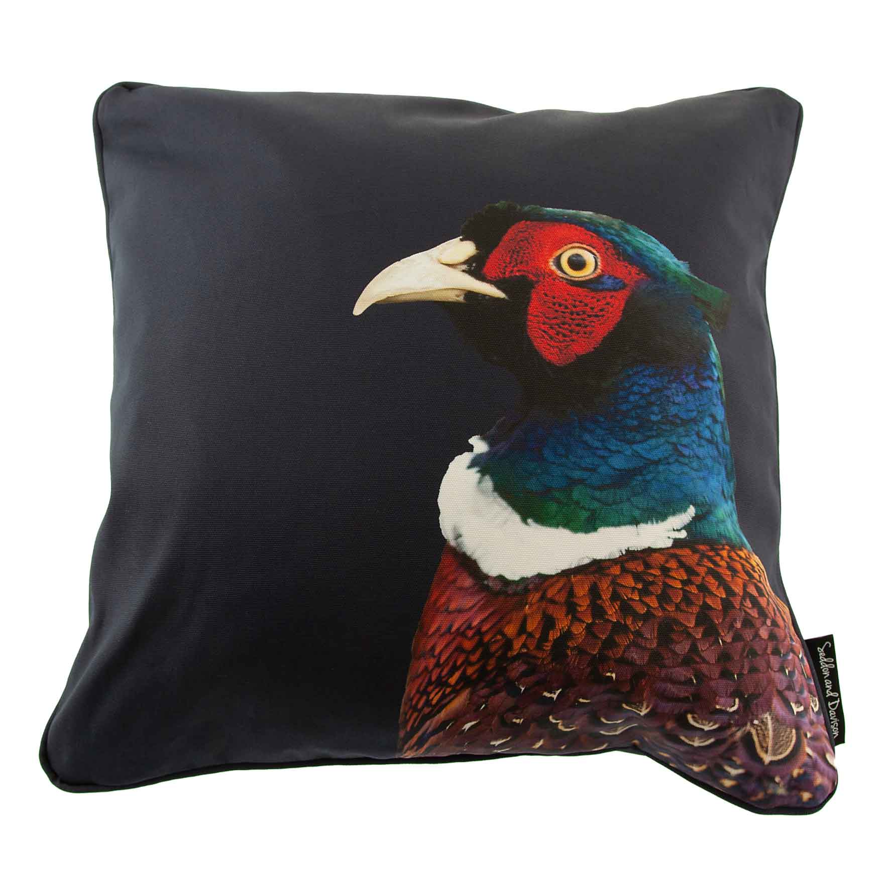 Pheasant Colour Cushion