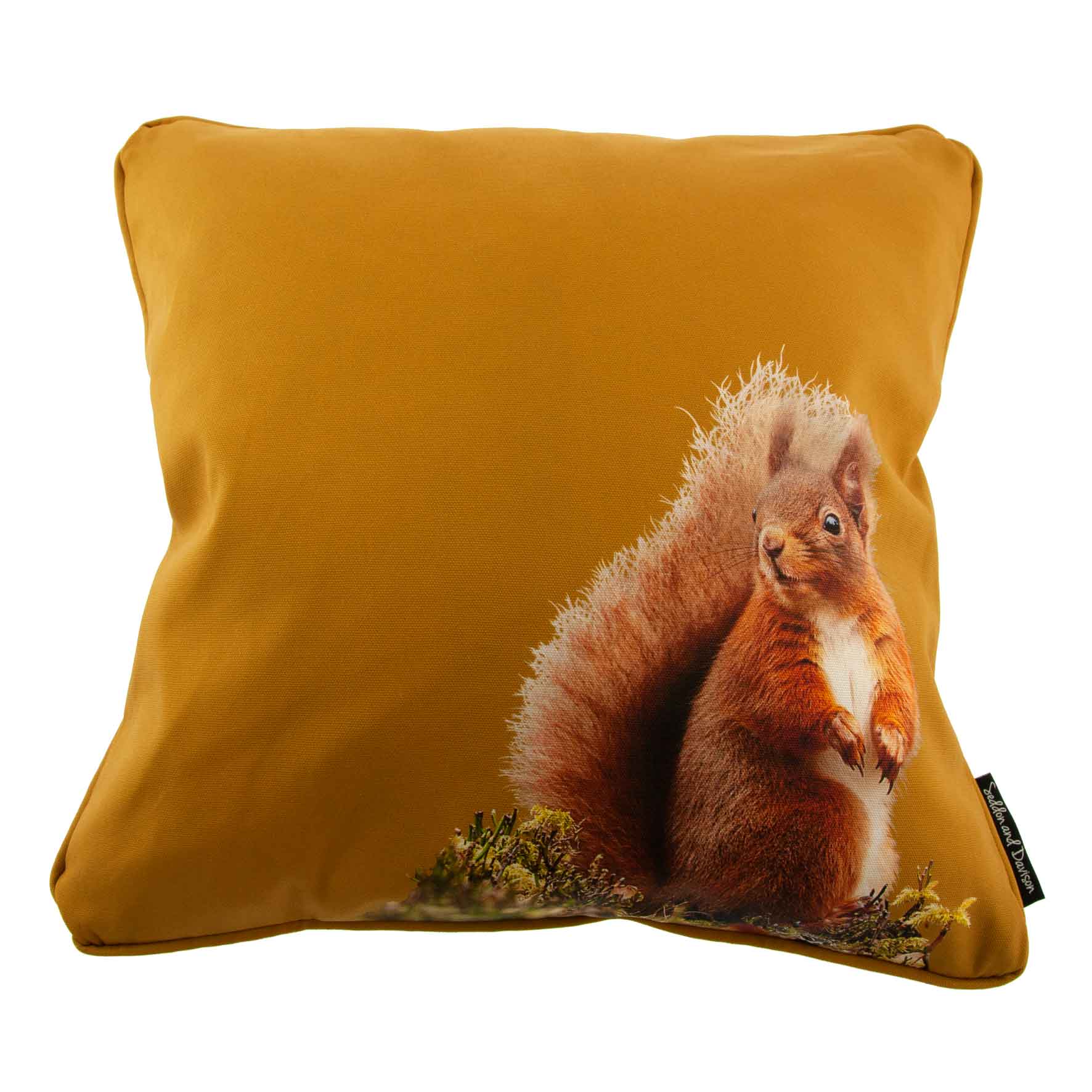 Red Squirrel Cushion - Ochre