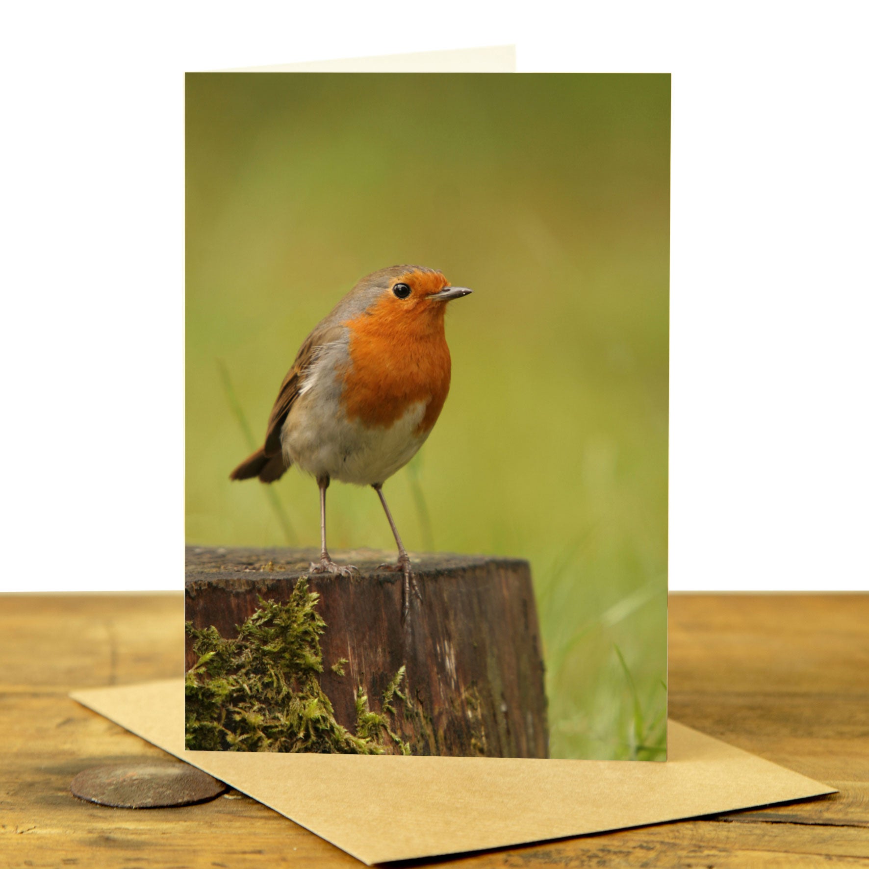 Robin Greeting Card