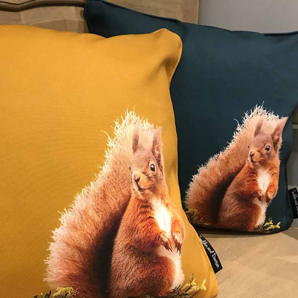 red squirrel cushions - homewares