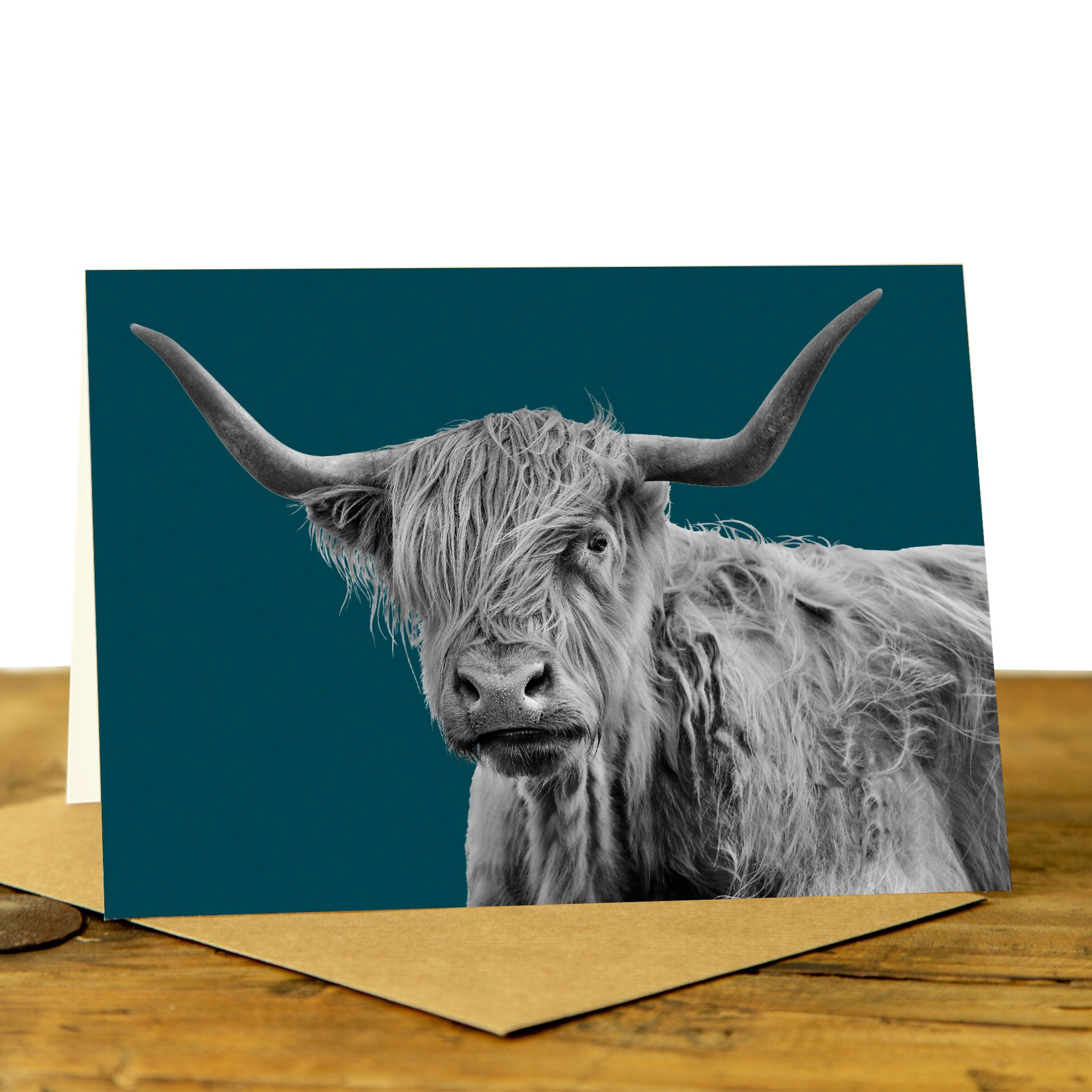 Cow Cards - Shaggy Highland Cow Card