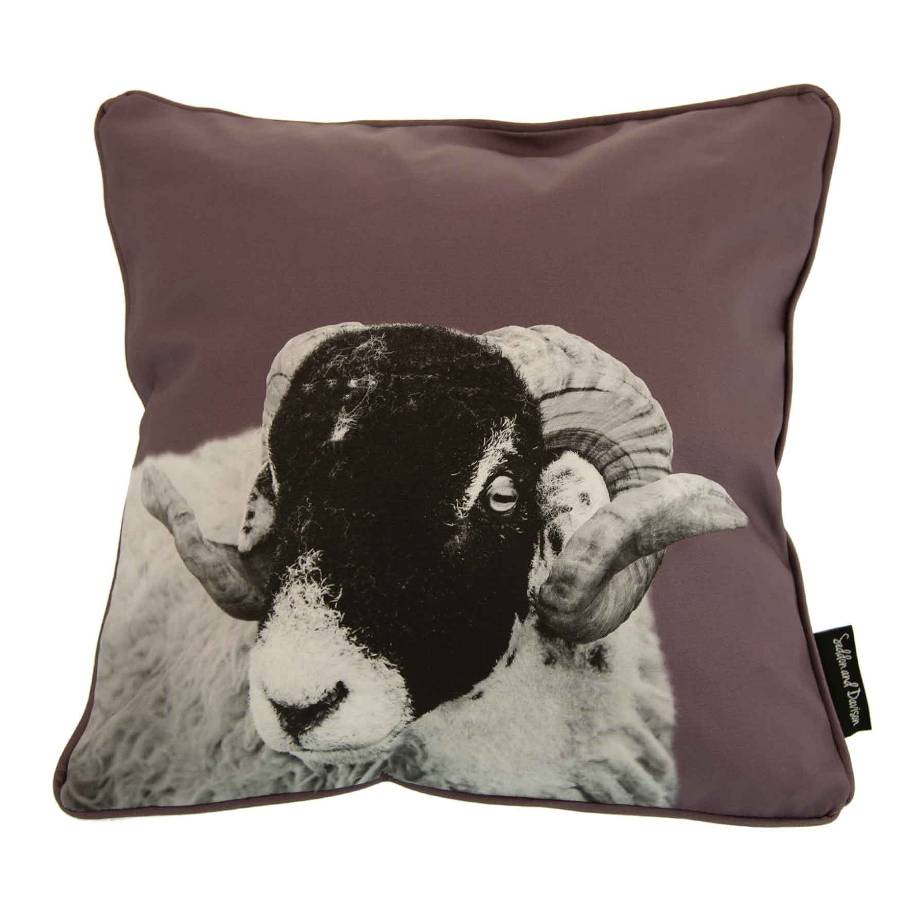 Swaledale Sheep Cushion - Dusky Pink