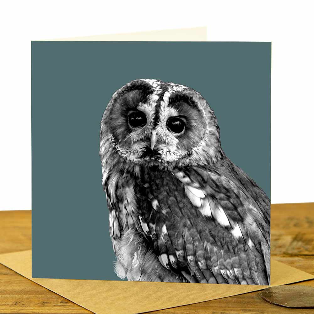 Tawny Owl Greeting Card - Dusk Green