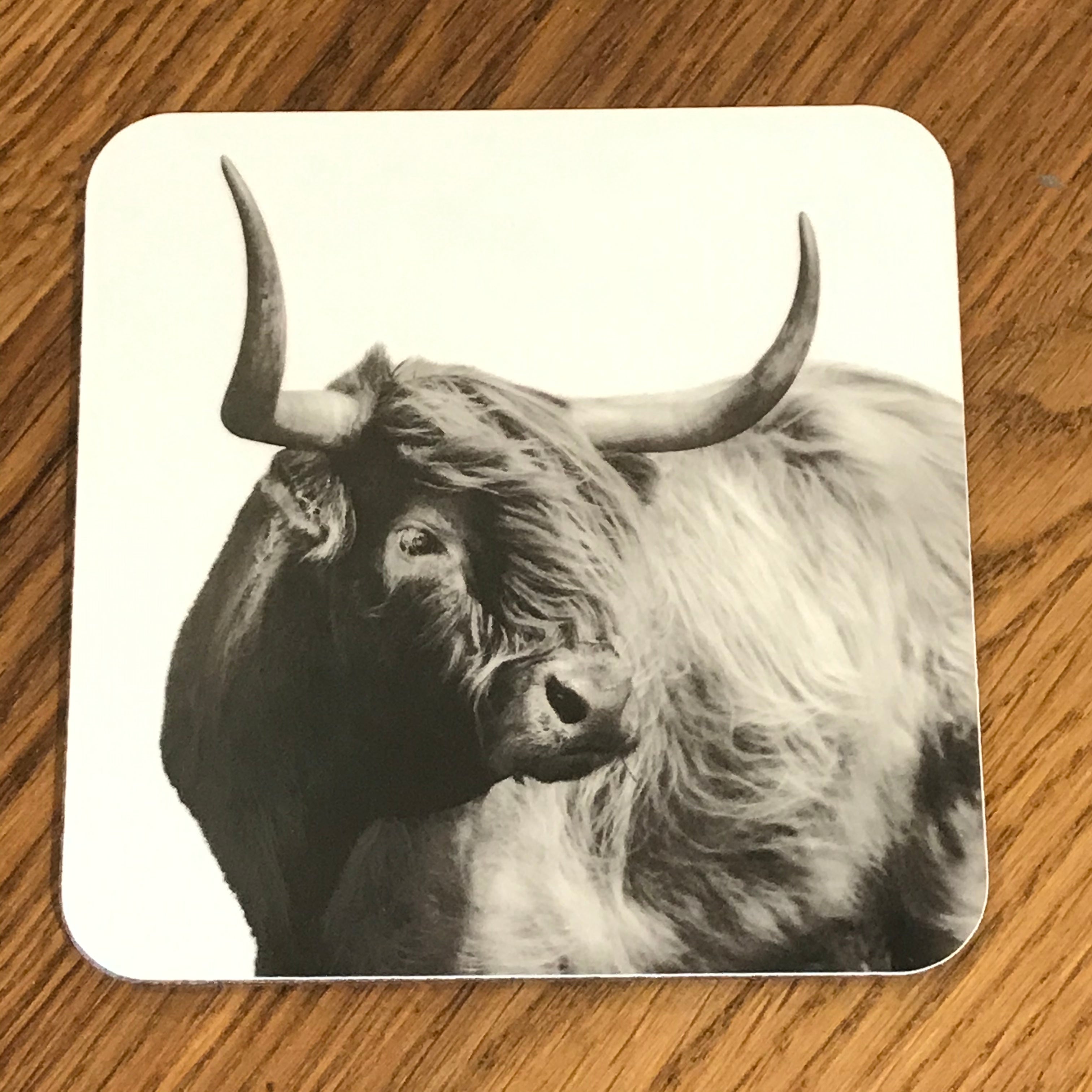 Windswept Highland Cow Coaster - White