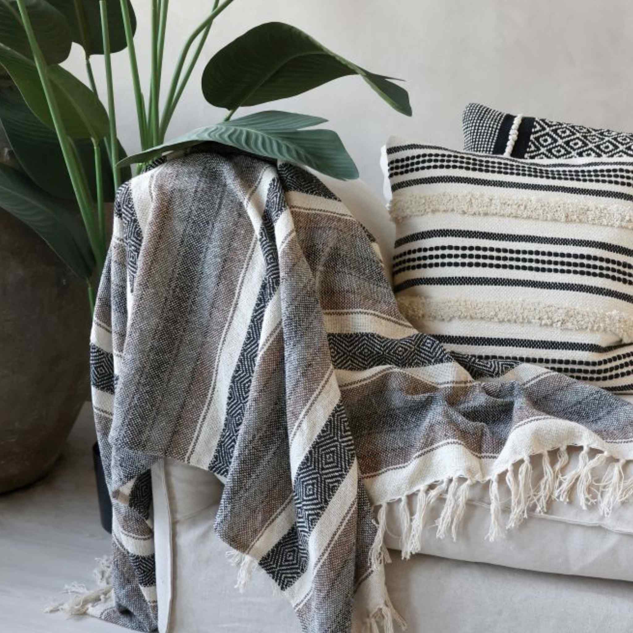 Aix Mocca and Black Cotton Throw draped on a Sofa with cushions and plant
