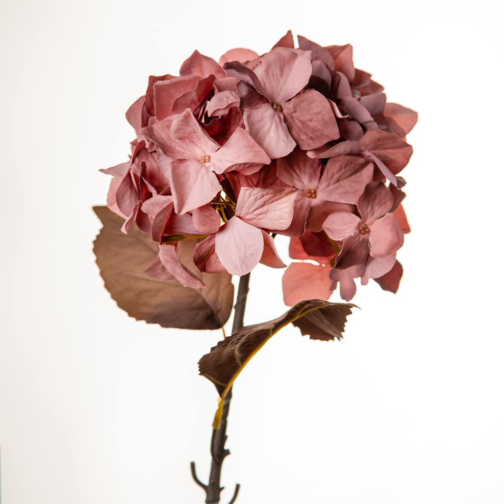 A single artificial hydrangea stem with dusty pink flower heads and brown leaves, photographed against a plain white background.
