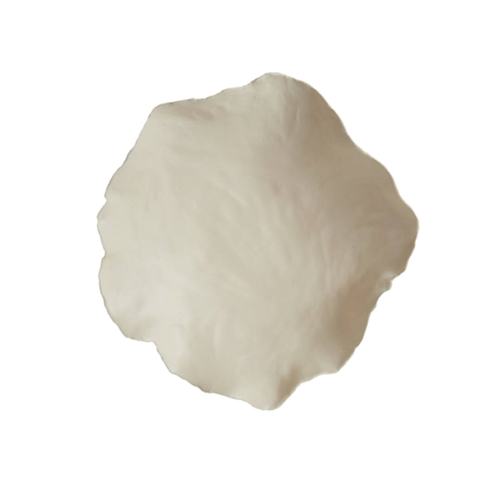Banda Ceramic Dish In Cream with organic  shaped rim on a white background