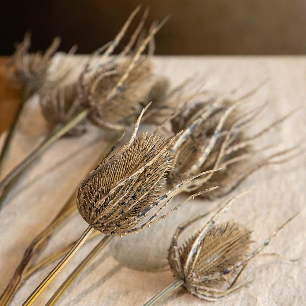 Artificial Brown Teasel Spray