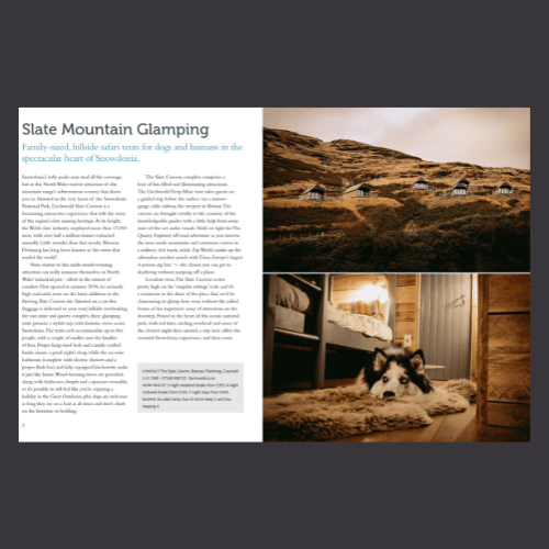 Dog Friendly Britain - Slate Mountain Glamping