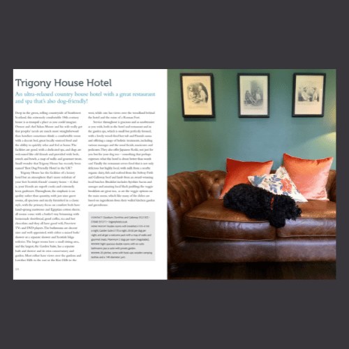 Dog Friendly Britain - Trigony House Hotel