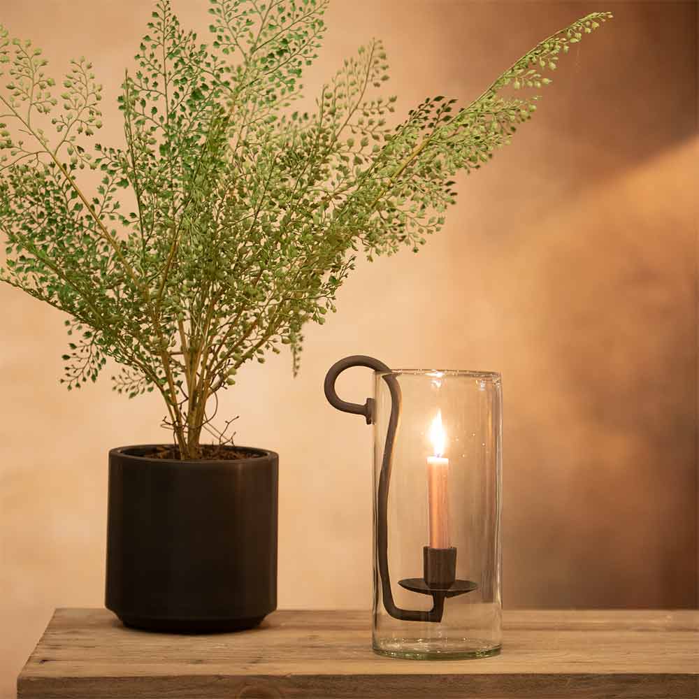 Dolega Glass Hurricane for Dinner Candle styled on a rustic wood console beside a potted plant 