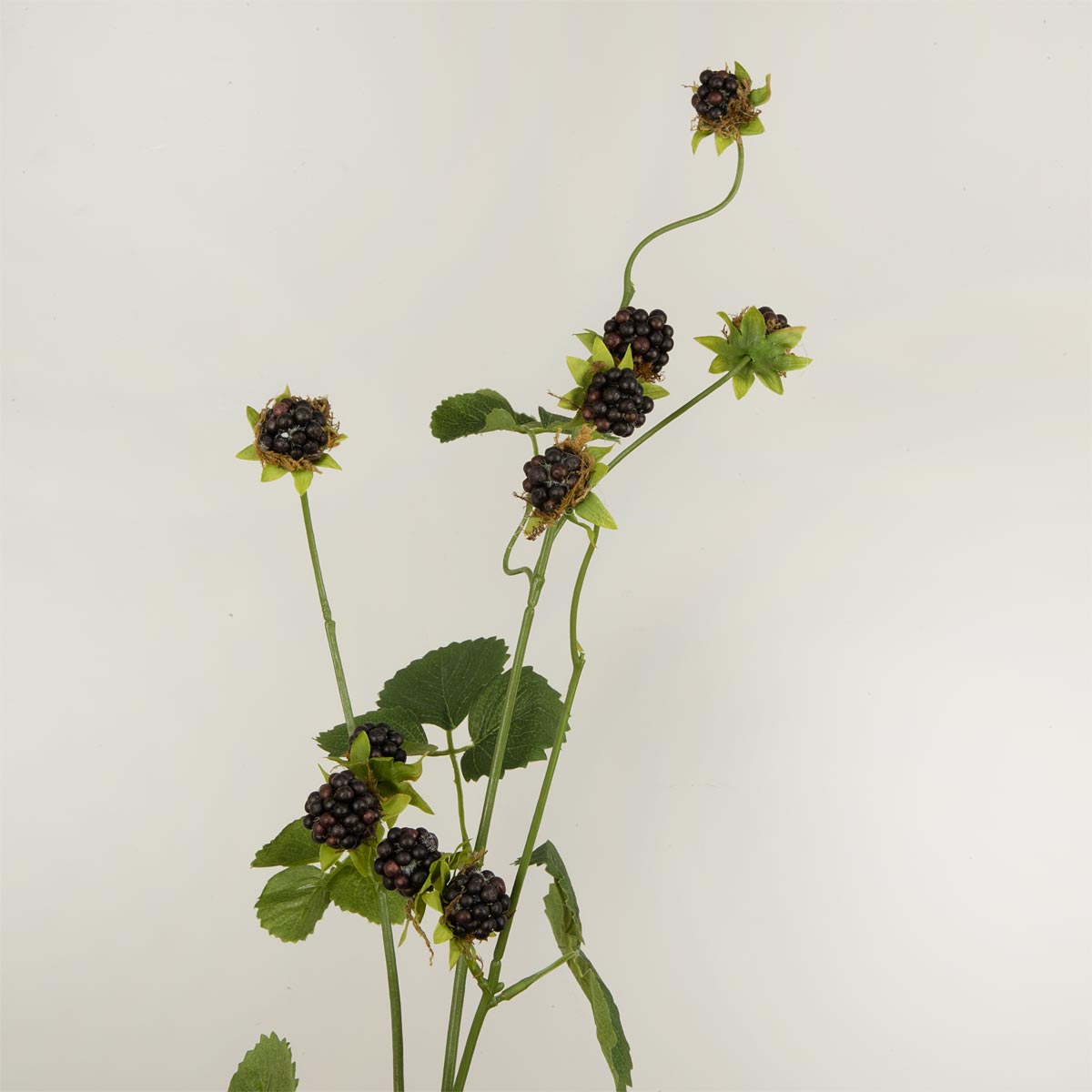 Artificial blackberry branch with green leaves and berries on a light grey background