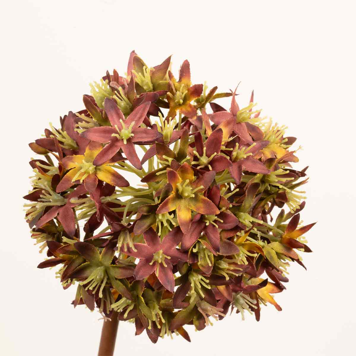 Close up of artificial brown viburnum stem with a spherical cluster of flowers on a white background.