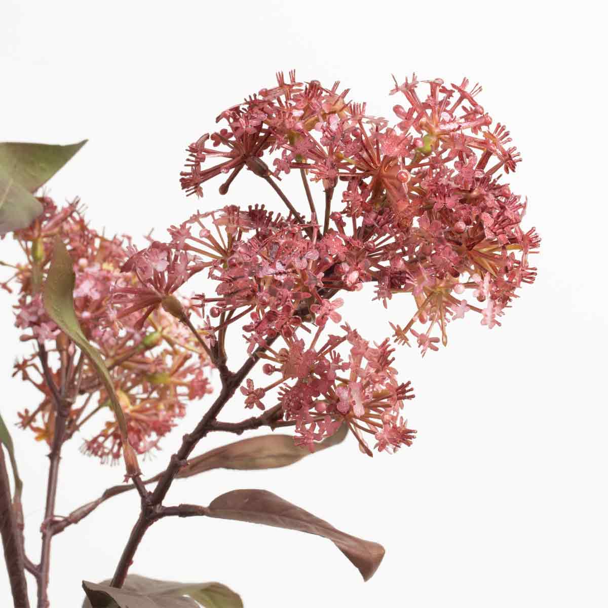 Close up of artificial burgundy smokebush stem with green leaves and purple flowers against a white background.