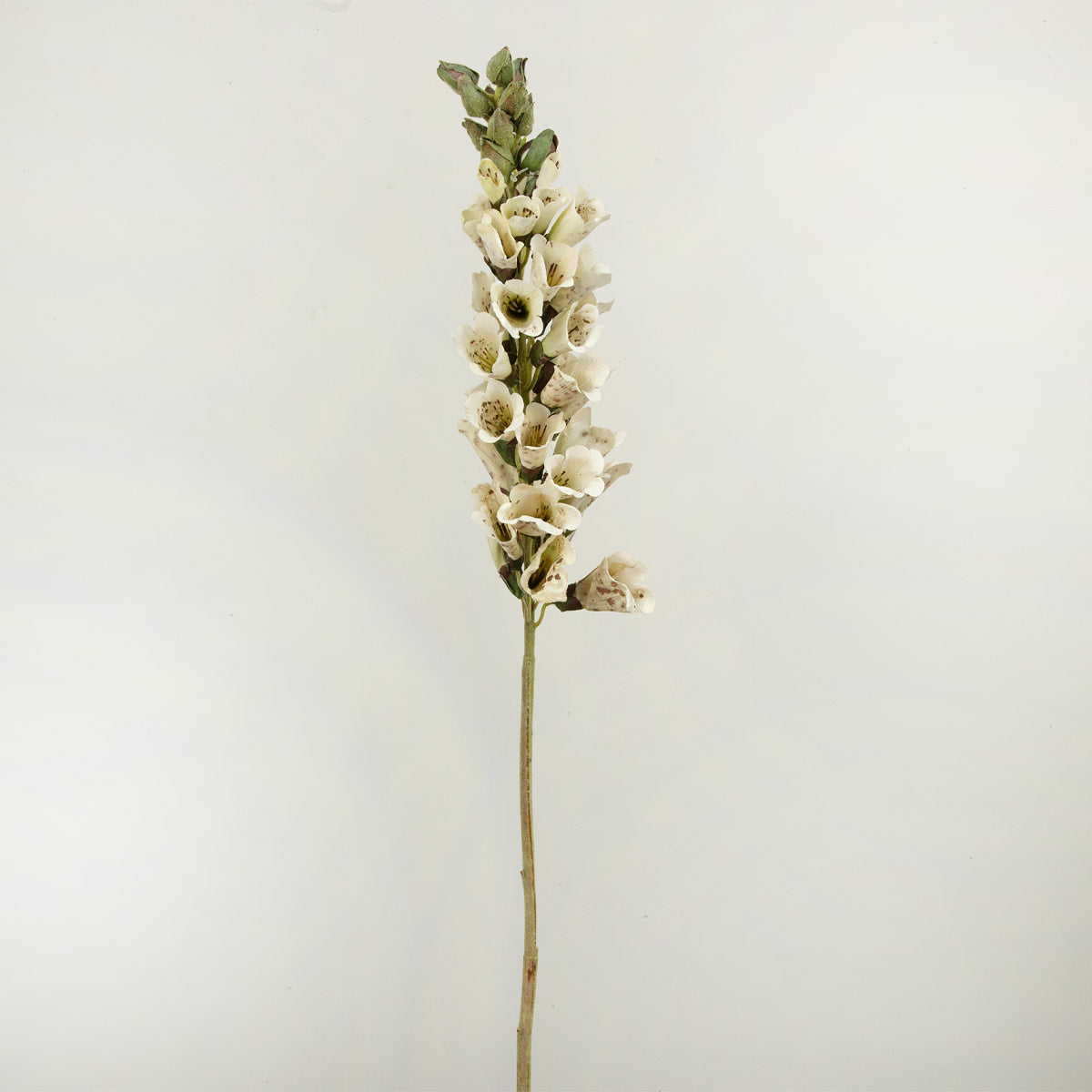 Single stem of faux cream foxglove on a plain background