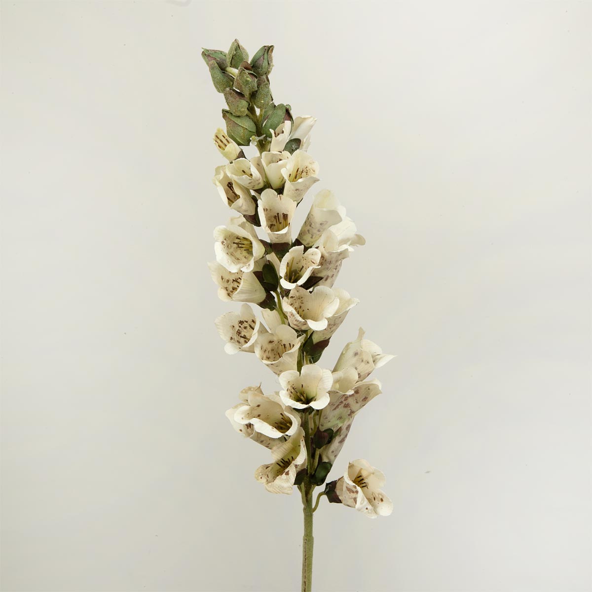 Artificial cream foxglove stem with green leaves on a light grey background