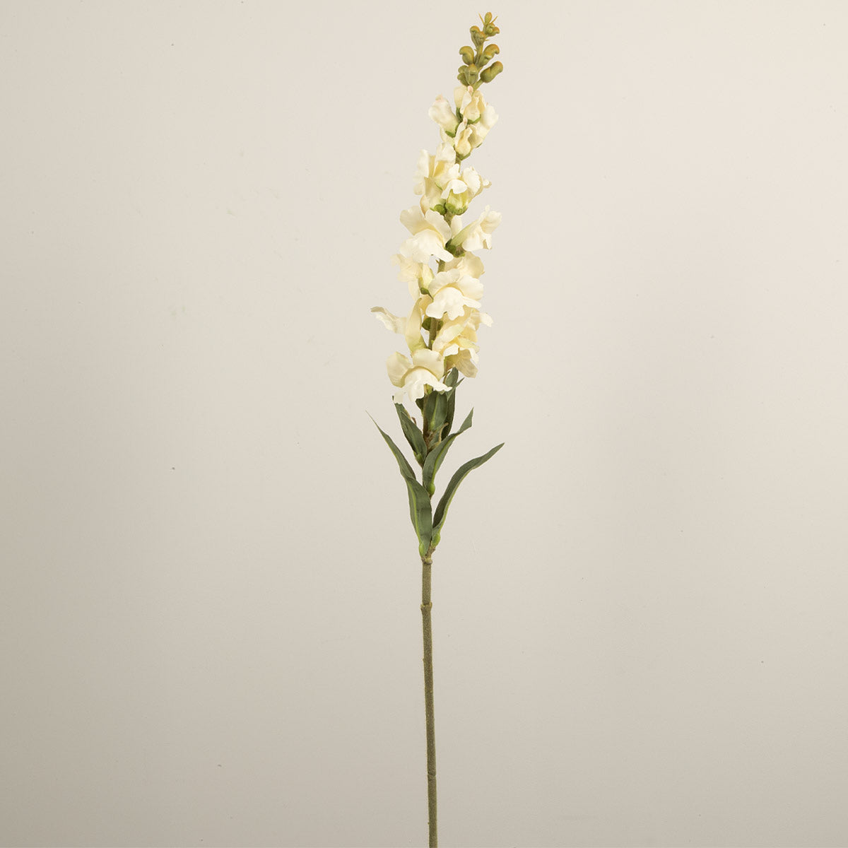 A single stem of cream snapdragon artificial flowers against a neutral background.