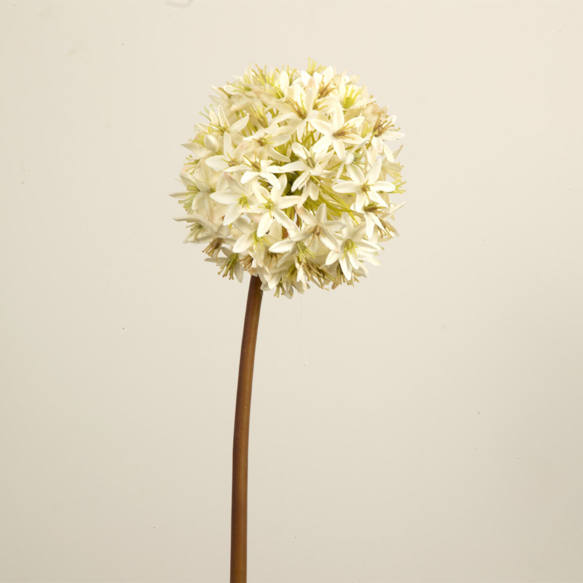 Flower head on a faux stem of cream viburnum - showing many small flowers arranged in a round head.