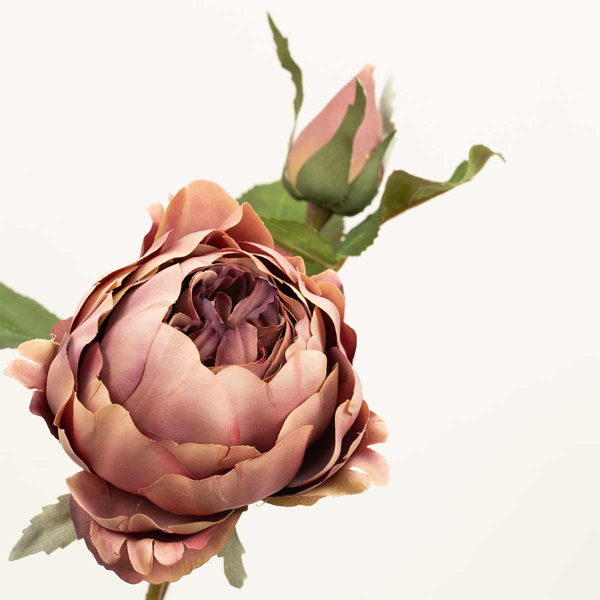 A close up of the flower head of an artificial dark pink peony spray against a white background.