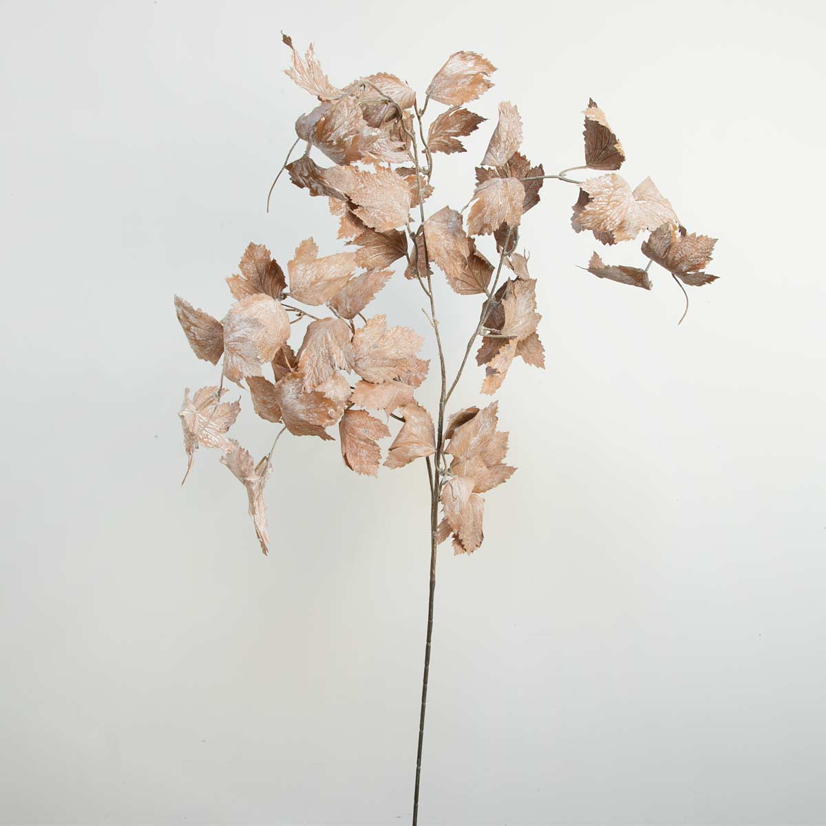 A spray of artificial dried brown vine leaves against a light background.