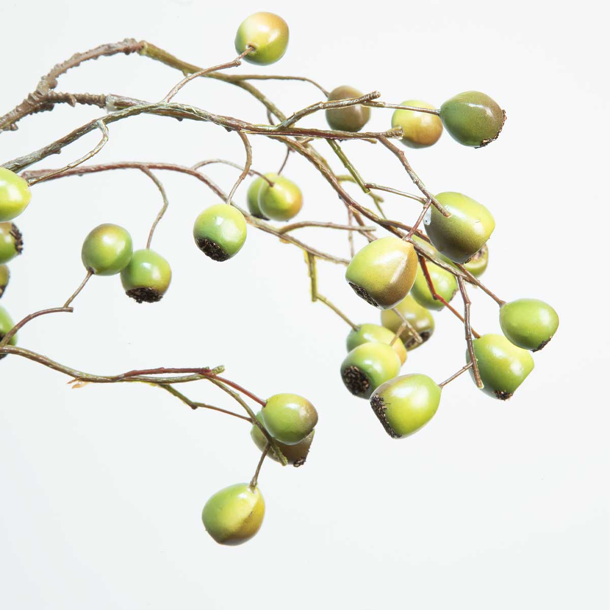 Close up of Faux Dual Tone Eucalyptus Berry Stem