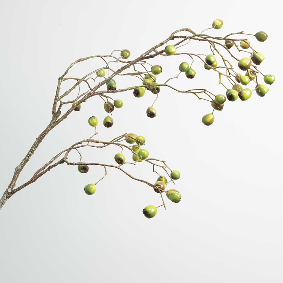 Close up of faux Dual Tone Eucalyptus Berry Stem