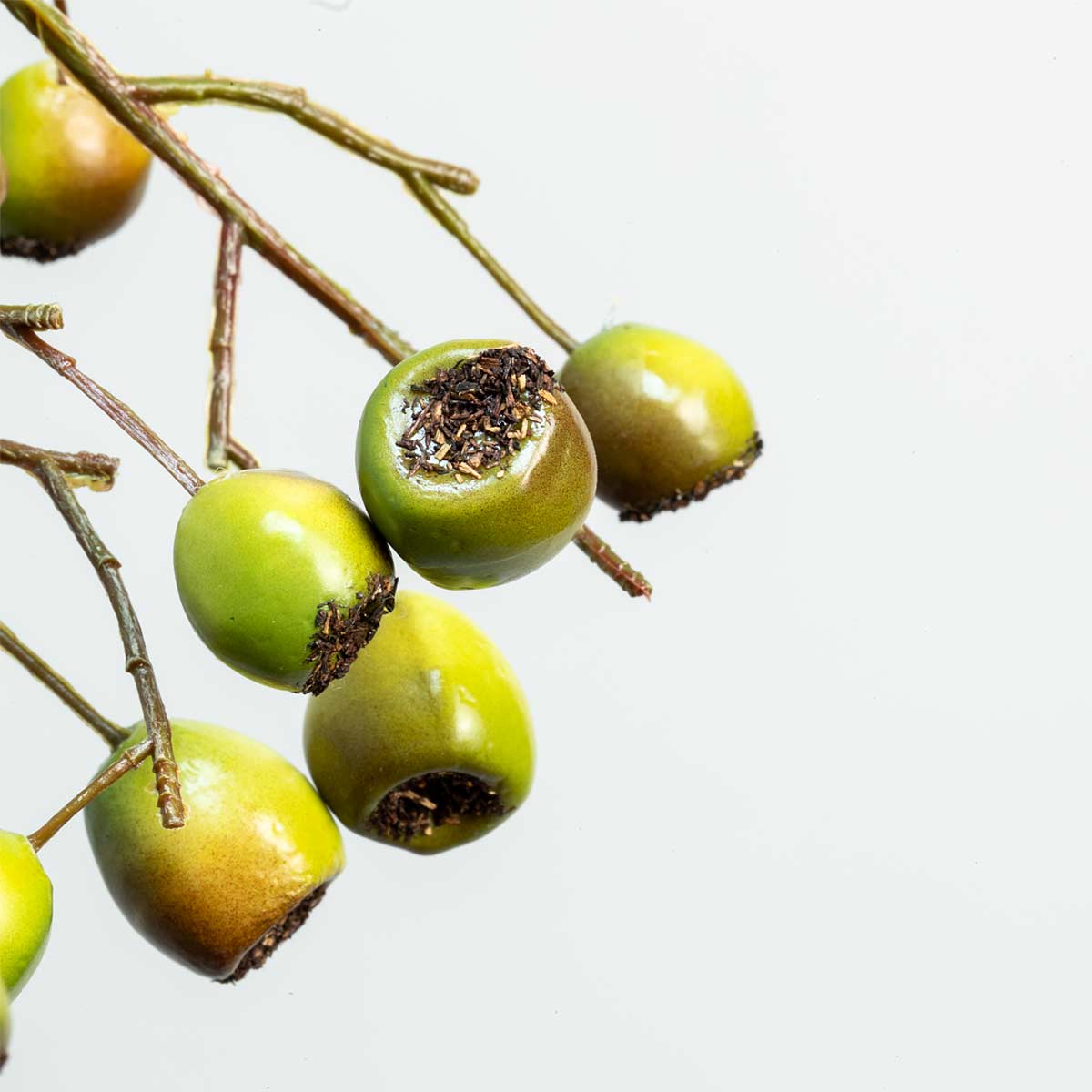 Extreme close up of faux Dual Tone Eucalyptus Berry Stem