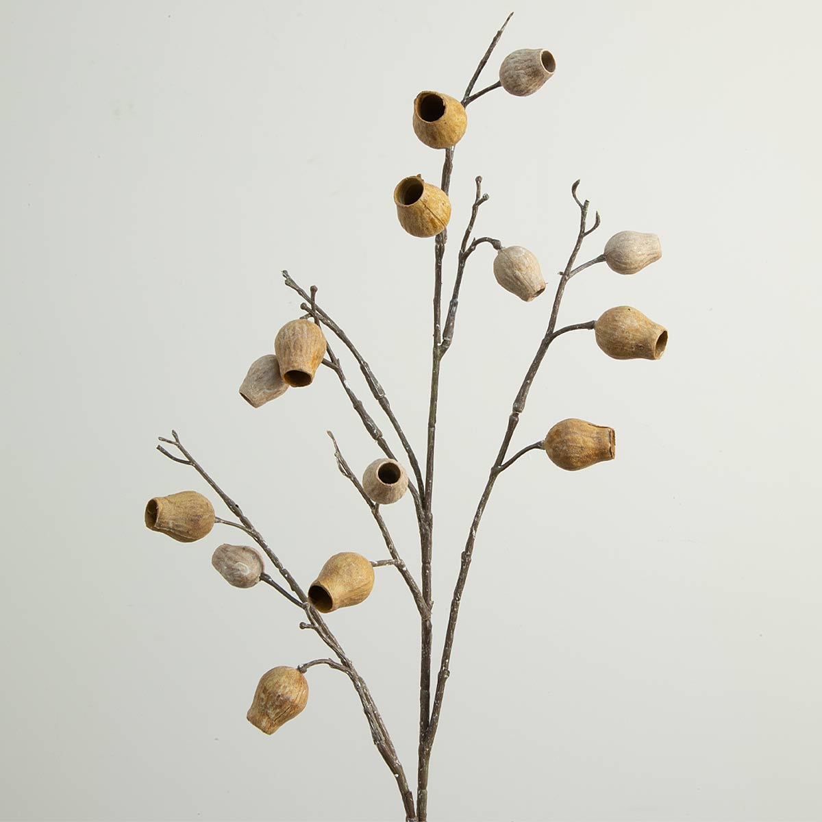 Artificial eucalyptus pod decoration mounted on a branch