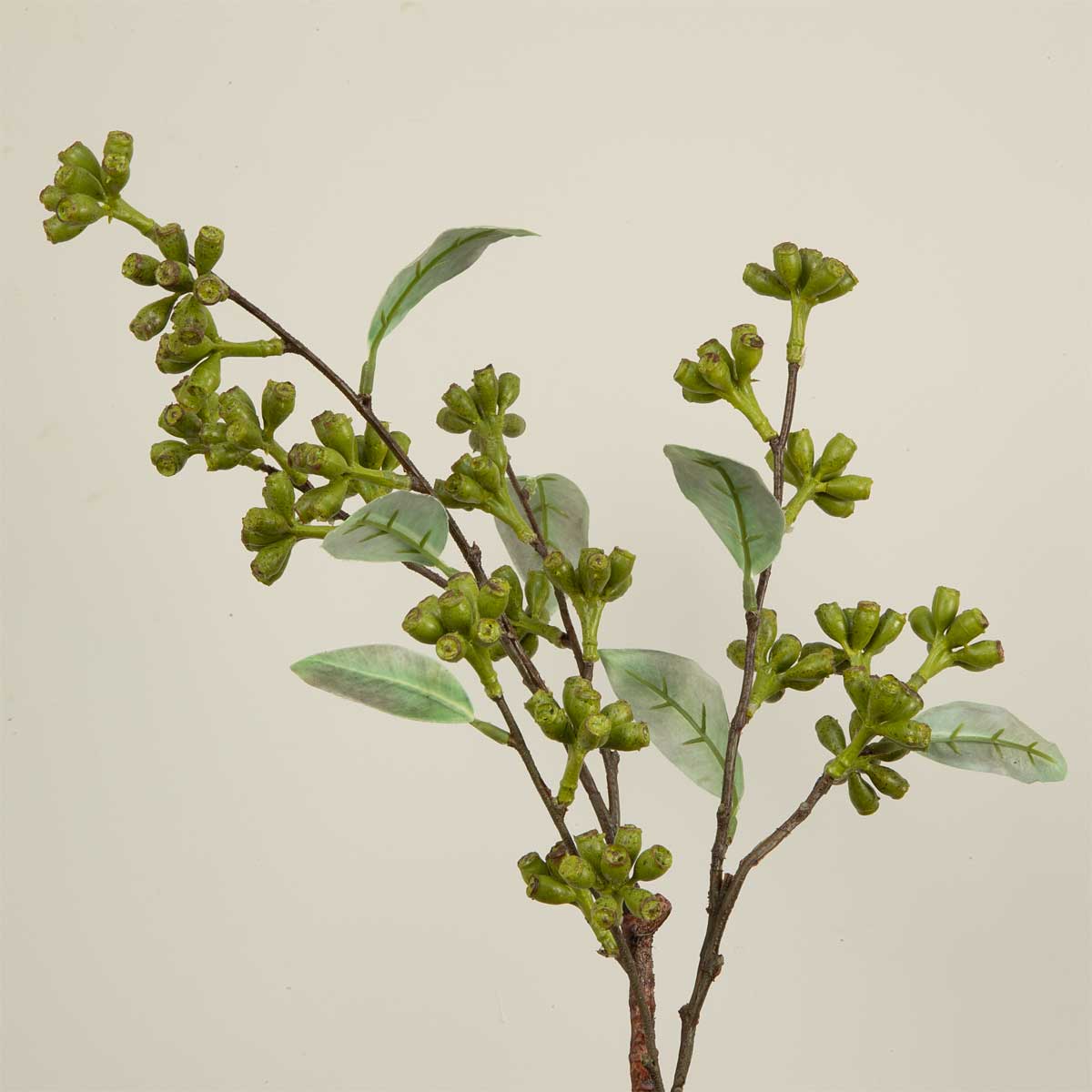 Faux Eucalyptus Seed Pod Spray with green leaves and branches on a grey background