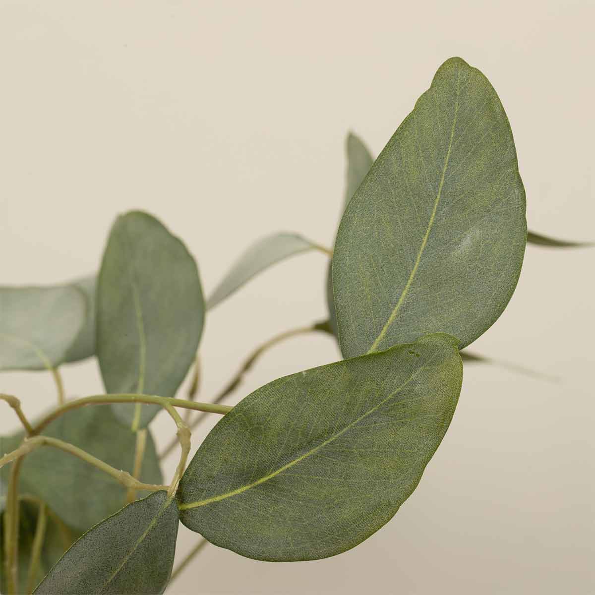Close up of leaves on Faux Eucalyptus Silver Dollar Spray