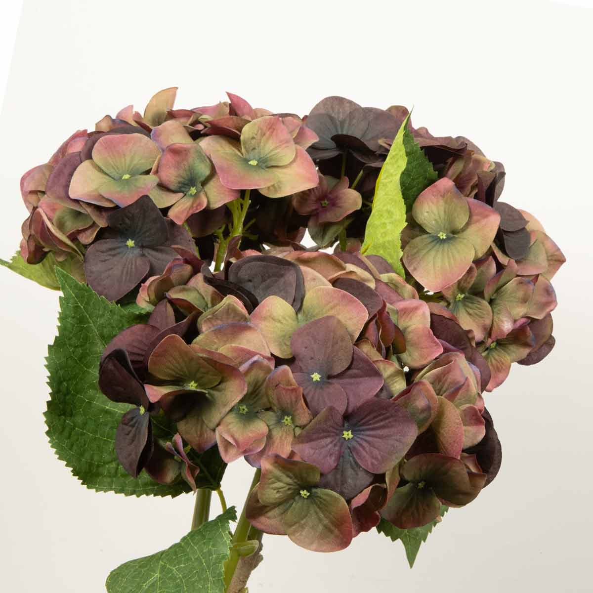 Artificial fig and olive hydrangea flower with green leaves on a white background