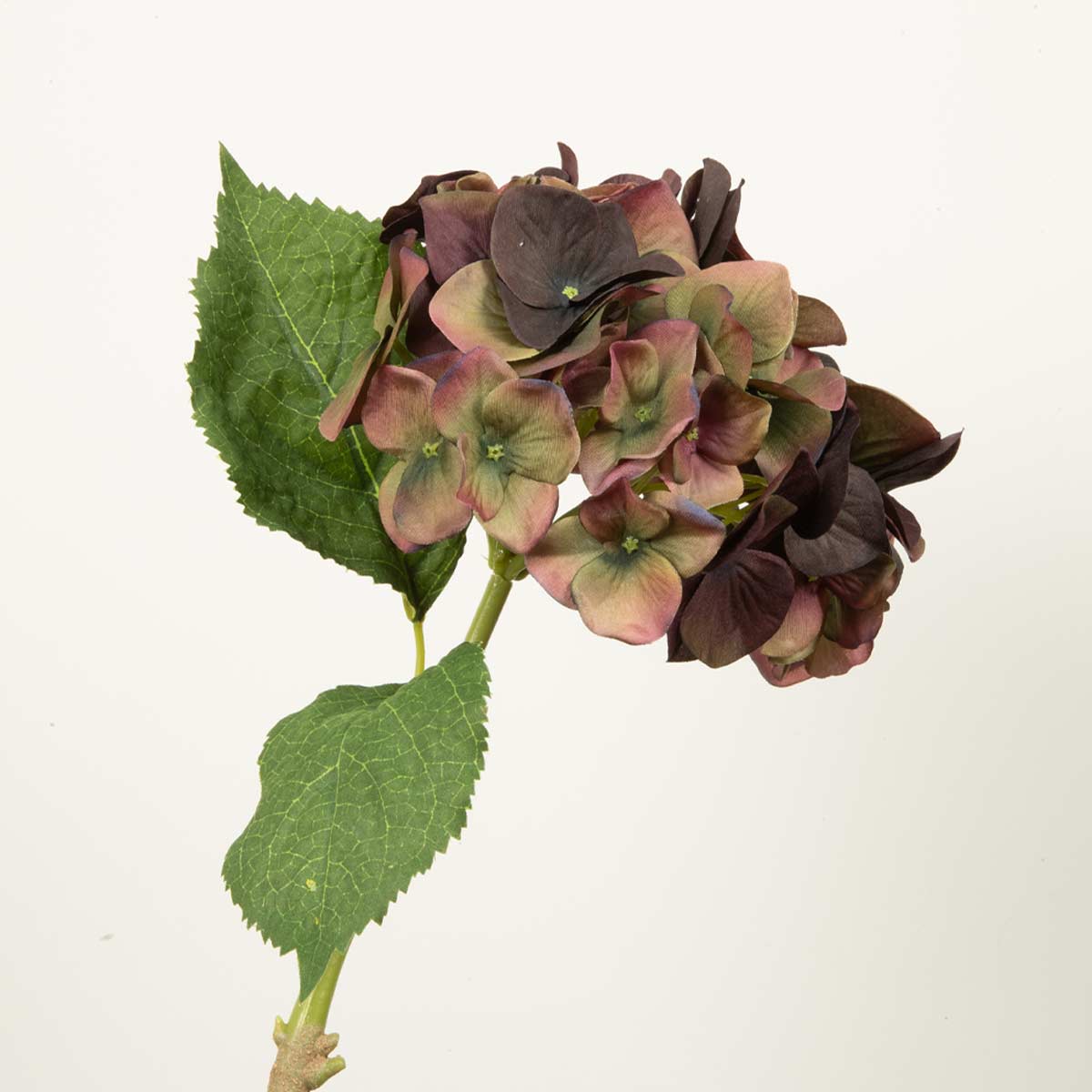 Artificial fig and olive hydrangea flower with green leaves on a white background