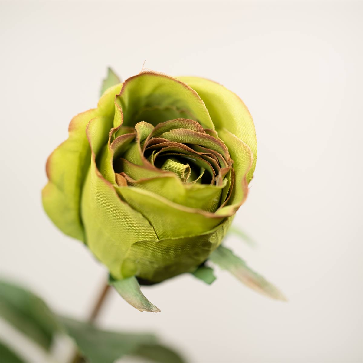Close-up of a faux green rose bud on a stem with a light background
