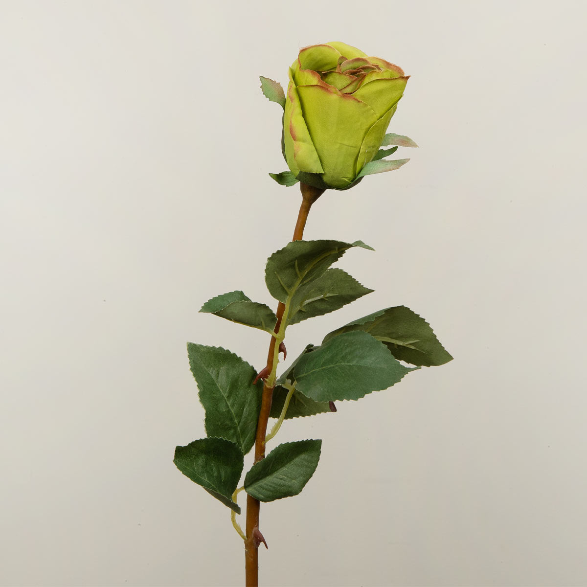 A single Faux Green Rose Stem with leaves on a light grey background