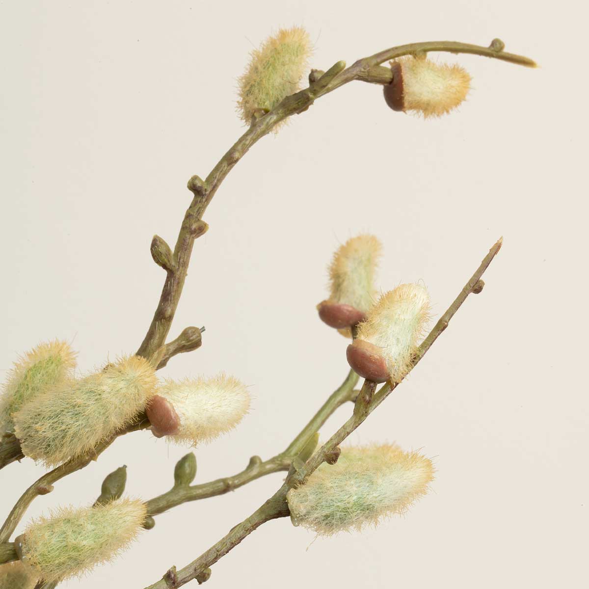Close up of of catkins on an artificial pussy willow branch with beige buds on a stem