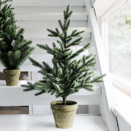 Fir Tree in Pot 60cm