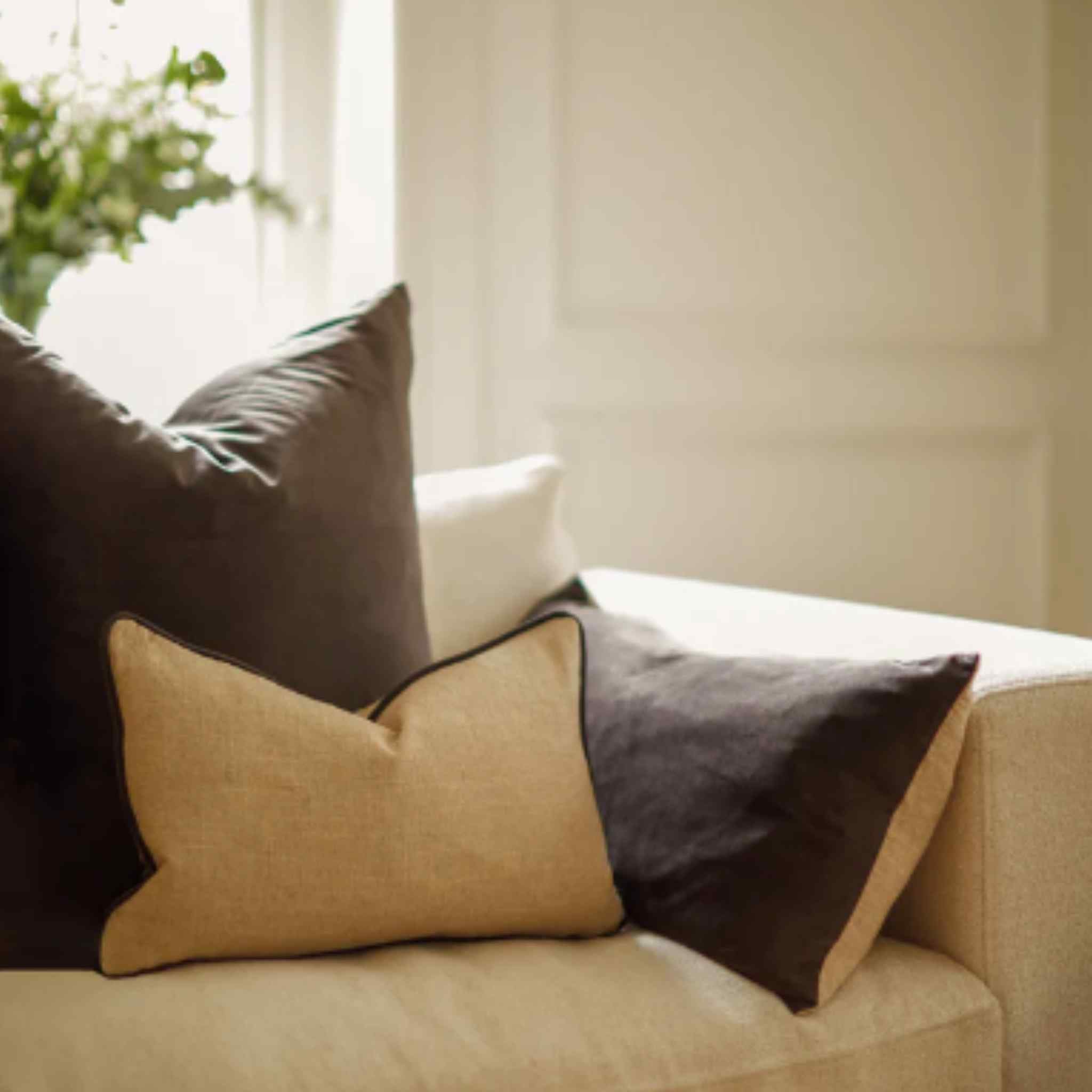 Frank Giant Velvet Cushion - Mole