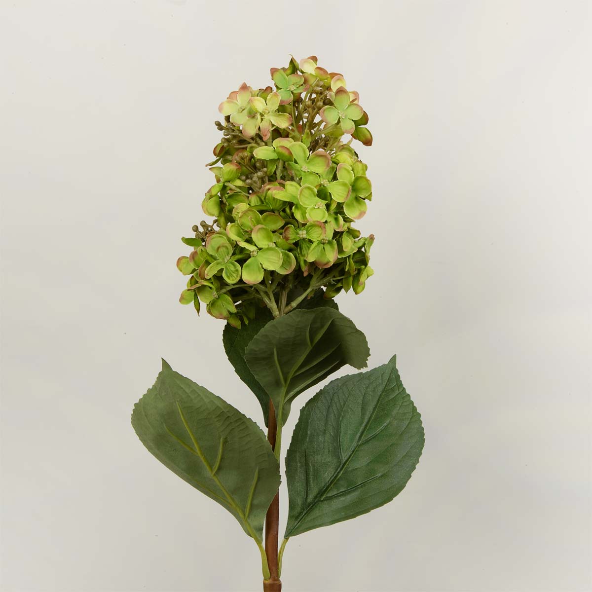 Artificial green cone hydrangea flower stem on a light gray background