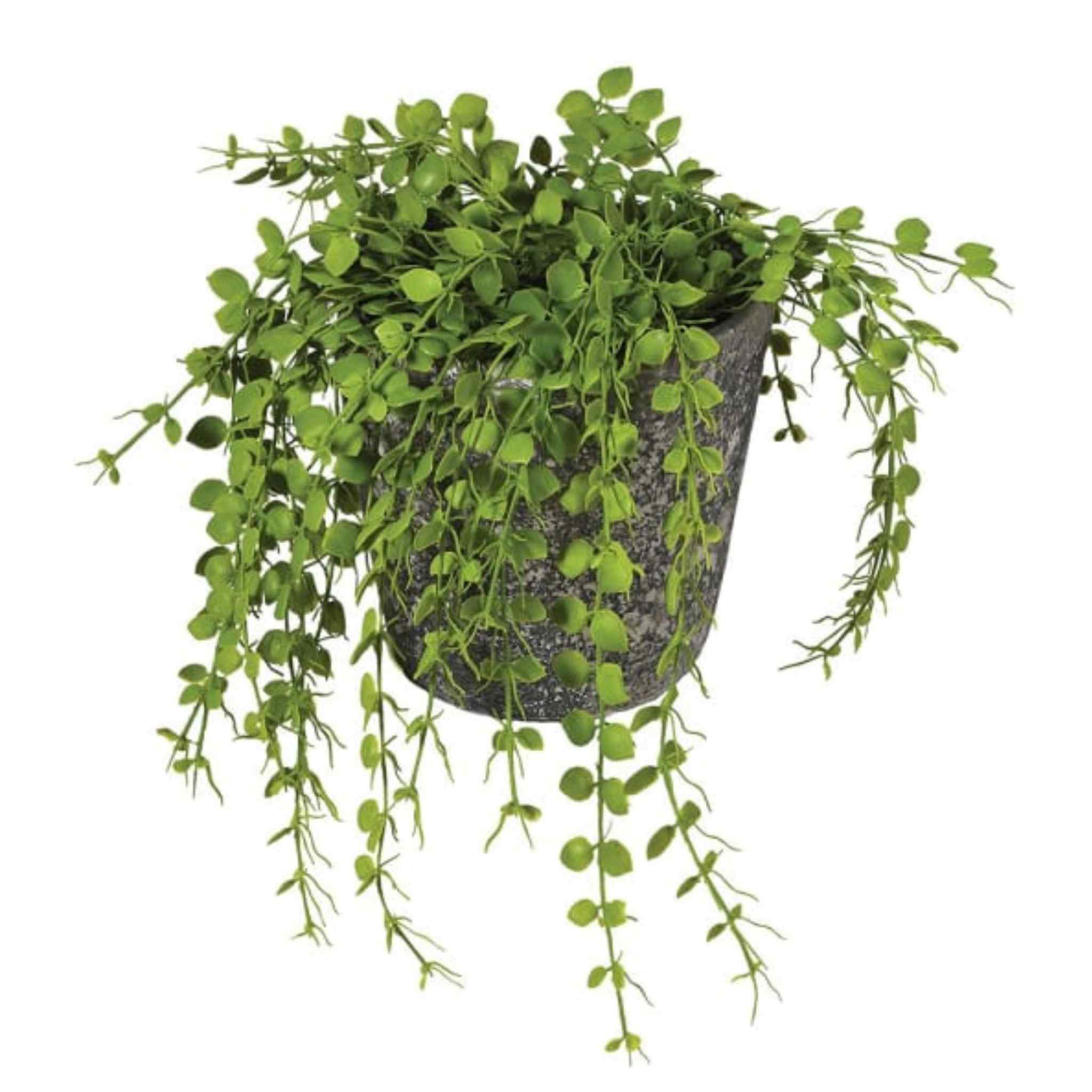 Artificial Green Button Fern in Pot