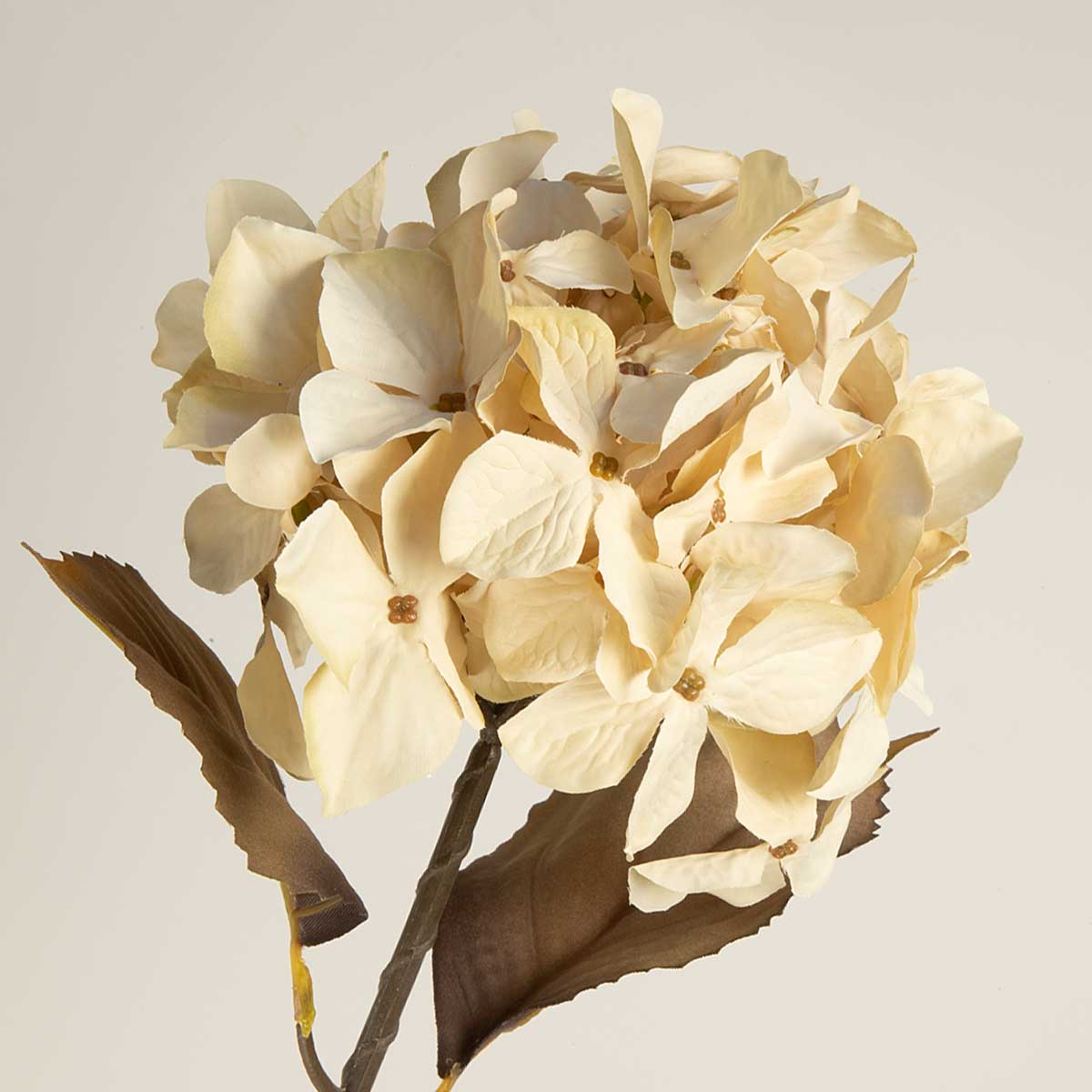 Hydrangea Stem, Cream